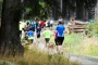 Sports Events in the Heart of Nature: Highland Running Festivals
