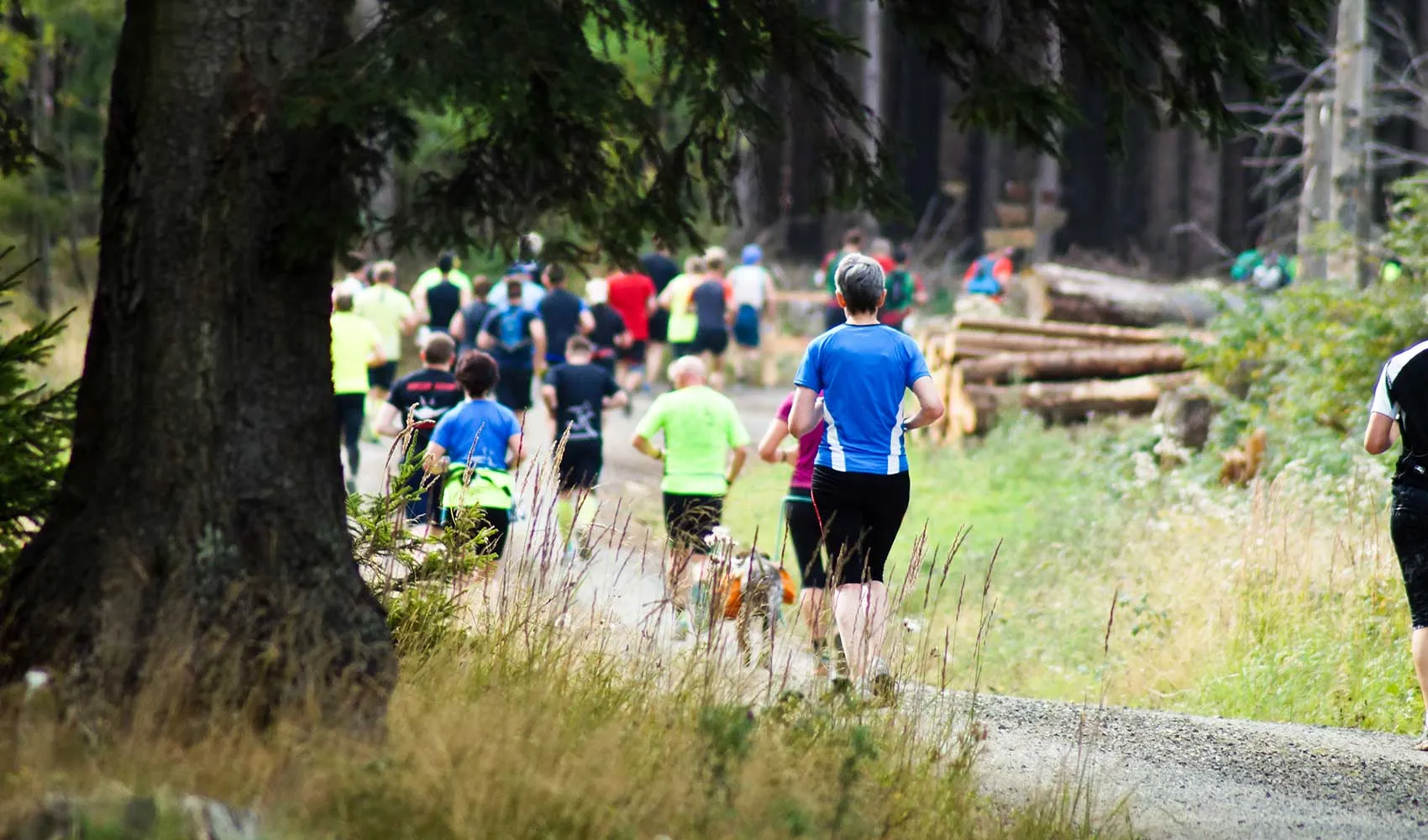 Sports Events in the Heart of Nature: Highland Running Festivals
